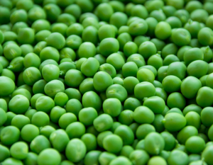 Peas | Vegetables Export from India