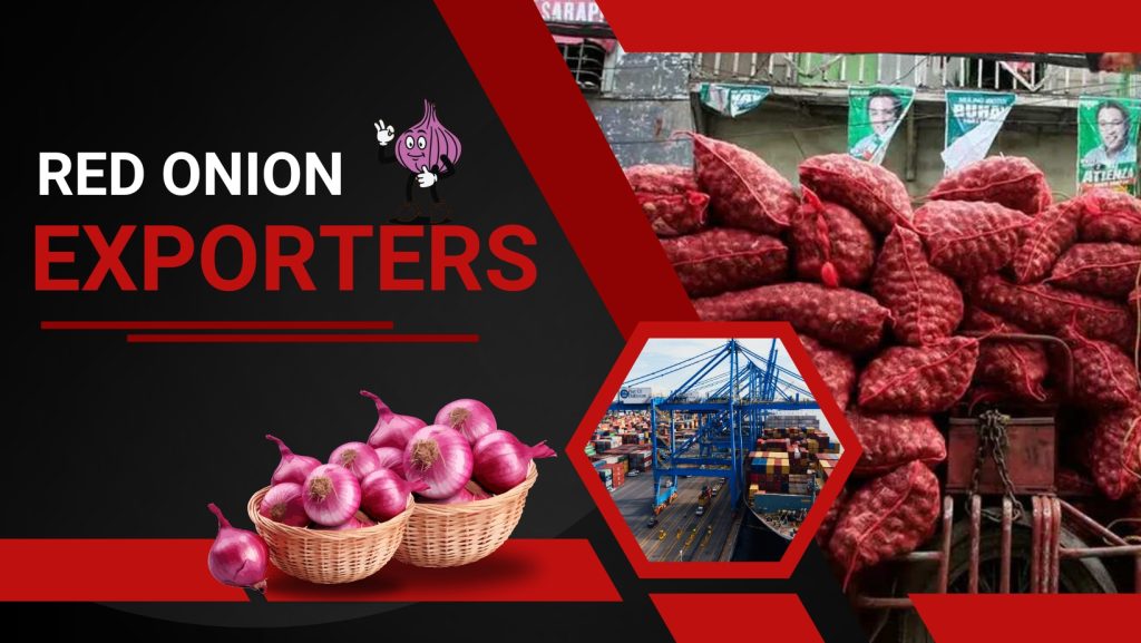 red onion exporters | red onion exporter in india | fresh red onion exporters in india | red onion export