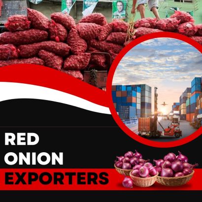 Thumbnail for Top Red Onion Exporters in India Delivering Global Excellence